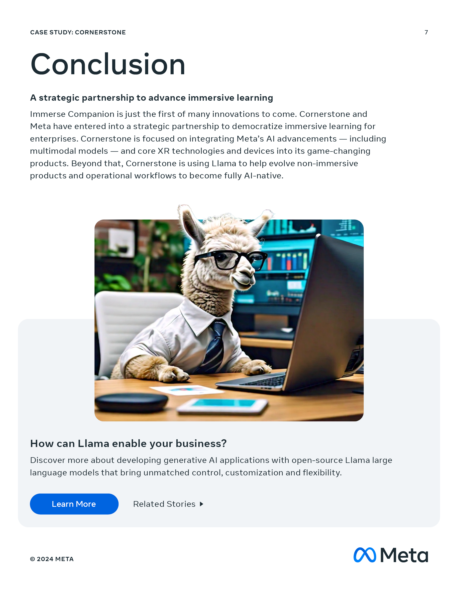 Meta — Case Studies and Schematics
